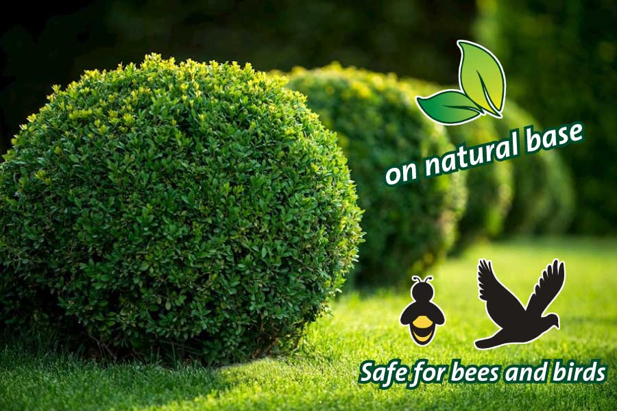 Fertilizzante Granulare TOPBUXUS Per Bosso | 20kg Per 400m² - Azione Rapida - Foto 12