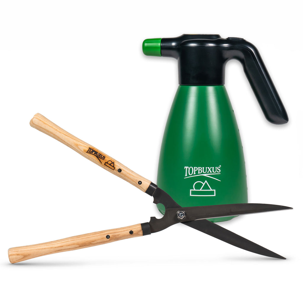 Fertilizzante Granulare TOPBUXUS Per Bosso | 20kg Per 400m² - Azione Rapida - Foto 8